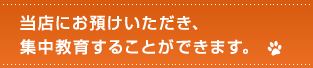 当店にお預けいただき、集中教育することができます。 当店にお預けいただき、集中教育することができます。